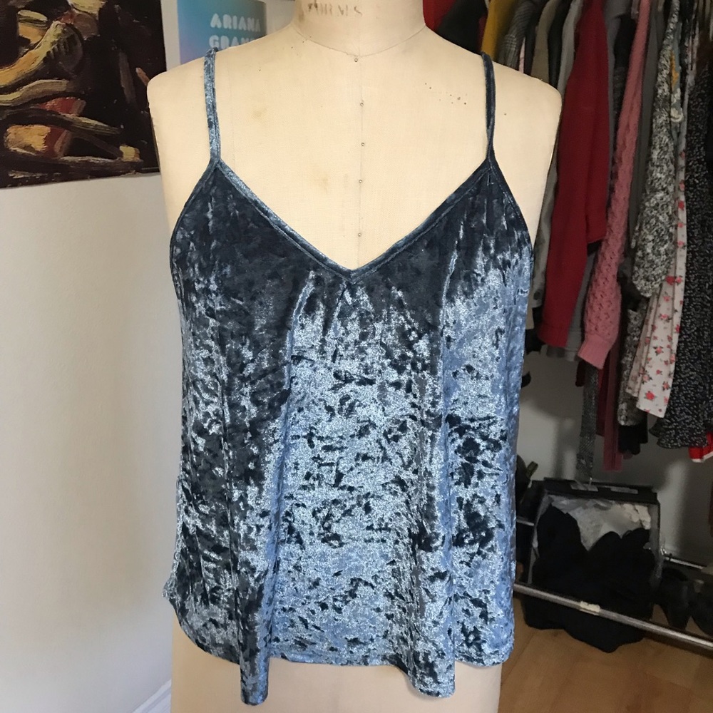 Blue Velvet Top
